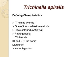 Trichinella spiralis
Defining Characteristics:
 “ Trichina Worms”
 One of the smallest nematode
 Have calcified cystic wall
 Pathogenesis:
Trichinosis
IH and DH: the same
Diagnosis:
 Xenodiagnosis
 