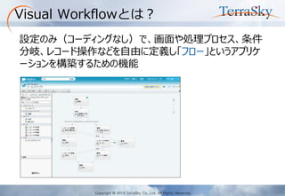 Copyright © 2013 TerraSky Co.,Ltd. All Rights Reserved. 
Visual Workflowとは？ 
設定のみ（コーディングなし）で、画面や処理プロセス、条件 分岐、レコード操作などを自由に定義し「フロー」というアプリケ ーションを構築するための機能  