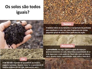 Os solos são todos
iguais?
 