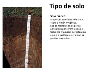 Solo Franco
Proporção equilibrada de areia,
argila e matéria orgânica.
São os melhores solos para a
agricultura por serem fáceis de
trabalhar e também por reterem a
água e a matéria mineral que as
plantas necessitam.
Tipo de solo
 