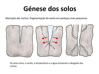 Génese dos solos
Alteração das rochas: fragmentação da rocha em pedaços mais pequenos
Os seres vivos, o vento, a temperatura e a água provocam o desgaste das
rochas.
 