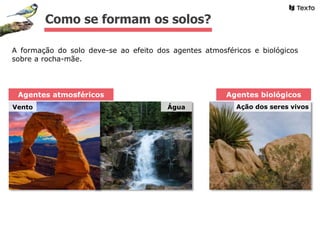 Ação dos seres vivosÁgua
A formação do solo deve-se ao efeito dos agentes atmosféricos e biológicos
sobre a rocha-mãe.
Como se formam os solos?
Agentes atmosféricos Agentes biológicos
Vento
 