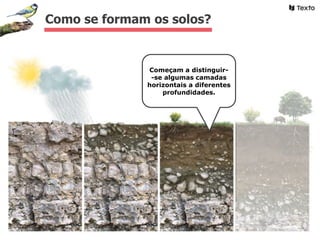 Como se formam os solos?
Começam a distinguir-
-se algumas camadas
horizontais a diferentes
profundidades.
 