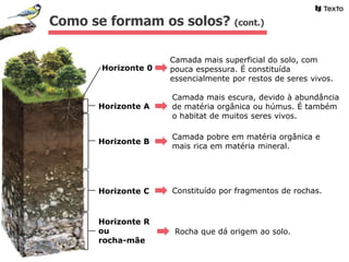 Horizonte 0
Horizonte A
Camada mais superficial do solo, com
pouca espessura. É constituída
essencialmente por restos de seres vivos.
Camada mais escura, devido à abundância
de matéria orgânica ou húmus. É também
o habitat de muitos seres vivos.
Camada pobre em matéria orgânica e
mais rica em matéria mineral.
Constituído por fragmentos de rochas.
Rocha que dá origem ao solo.
Como se formam os solos? (cont.)
Horizonte B
Horizonte C
Horizonte R
ou
rocha-mãe
 