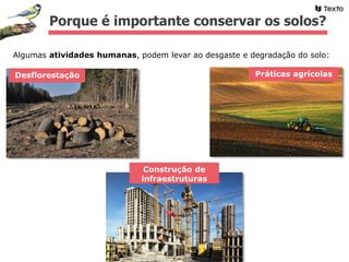 Porque é importante conservar os solos?
Algumas atividades humanas, podem levar ao desgaste e degradação do solo:
Desflorestação Práticas agrícolas
Construção de
infraestruturas
 