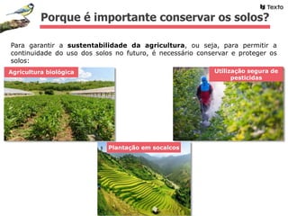 Porque é importante conservar os solos?
Para garantir a sustentabilidade da agricultura, ou seja, para permitir a
continuidade do uso dos solos no futuro, é necessário conservar e proteger os
solos:
Agricultura biológica Utilização segura de
pesticidas
Plantação em socalcos
 