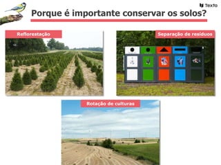 Porque é importante conservar os solos?
Reflorestação Separação de resíduos
Rotação de culturas
 