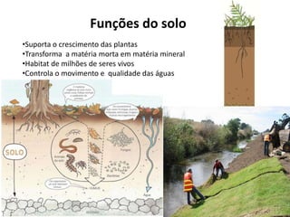Funções do solo
•Suporta o crescimento das plantas
•Transforma a matéria morta em matéria mineral
•Habitat de milhões de seres vivos
•Controla o movimento e qualidade das águas
 