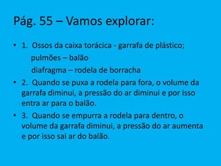 Os ruminantes (como a vaca), possuem um estômago composto por quatro partes: rúmen,
retículo, omaso e abomaso.
Depois de engolido, o alimento
entra no rúmen (ou pança), onde
acontecem as primeiras
transformações. Passa então para
o retículo, de onde é depois
devolvido à boca, em pequenas
quantidades, para de novo ser
mastigado e ensalivado –
ruminação. Depois volta
novamente ao rúmen e a seguir
passa para o omaso, onde a maior
parte da água é absorvida. Por fim,
vai para o abomaso, onde atuam
sucos digestivos. A digestão
termina, por fim, no intestino.
Fígado
Estômago
composto
Ânus
Intestino
grosso
Rúmen
Omaso
Abomaso
Reticulo
Esófago
Boca
Pâncreas
Intestino
delgado
 