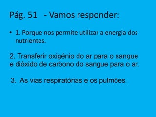 A boca e a cavidade bucal são responsáveis
por ingerir, mastigar e ensalivar os alimentos.
A saliva é produzida pelas glândulas
salivares. A saliva é um líquido que se
mistura com os alimentos durante a
mastigação, num fenómeno a que
chamamos ensalivação. No final da
digestão que ocorre na cavidade bucal, os
alimentos ficam transformados em bolo
alimentar, uma massa pastosa e moldável
que vai ser deglutida.
Glândula
parótida
Músculo
Glândula
submaxilar
Glândula
sublingual
Ductos
salivares
Língua
Dentes
Ducto salivar
 