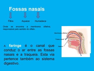 Faringe: tubo digestivo
que liga a cavidade bucal
ao esófago. É um canal
misto, porque faz também
parte do sistema
respiratório.
É através da faringe que
ocorre a deglutição
(passagem do bolo
alimentar da cavidade
bucal para o
esófago).
Bolo alimentar
Faringe
Língua
Esófago
Epiglote
Traqueia
 