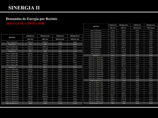 SINERGIA II 
Demandas de Energía por Recinto 
ALEX GUAL CONSULTOR 
 