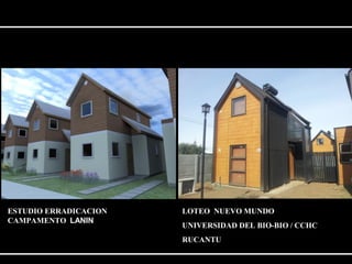 ESTUDIO ERRADICACION 
CAMPAMENTO LANIN 
LOTEO NUEVO MUNDO 
UNIVERSIDAD DEL BIO-BIO / CCHC 
RUCANTU 
 