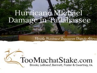 Topmost law farm of Disputes and Hurricane Damage in Florida