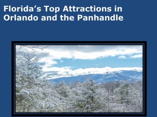 Florida’s Top Attractions in
Orlando and the Panhandle
 