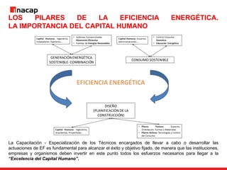 LOS PILARES DE LA EFICIENCIA ENERGÉTICA.
LA IMPORTANCIA DEL CAPITAL HUMANO
La Capacitación - Especialización de los Técnicos encargados de llevar a cabo o desarrollar las
actuaciones de EF es fundamental para alcanzar el éxito y objetivo fijado, de manera que las instituciones,
empresas y organismos deben invertir en este punto todos los esfuerzos necesarios para llegar a la
“Excelencia del Capital Humano”.
 