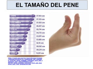 2 .BASES BIOLÓGICAS, ETOLÓGICAS, PSICOLÓGICAS, SOCIOCULTURALES Y ÉTICAS