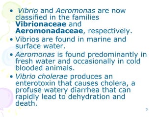 <ul><li>Vibrio  and  Aeromonas  are now classified in the families  Vibrionaceae  and  Aeromonadaceae , respectively. </li...