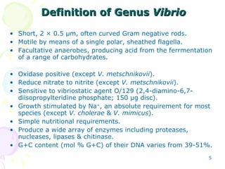 Definition of Genus  Vibrio <ul><li>Short, 2  × 0.5 µm, often curved Gram negative rods. </li></ul><ul><li>Motile by means...