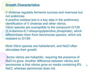 Growth Characteristics V cholerae regularly ferments sucrose and mannose but not arabinose.  A positive oxidase test is a ...