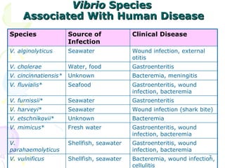 Vibrio  Species  Associated With Human Disease Species Source of Infection Clinical Disease V. alginolyticus   Seawater  W...