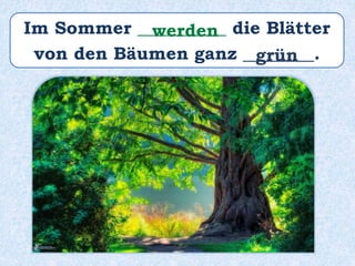 Im Sommer __________ die Blätter
von den Bäumen ganz ________.
werden
grün
 