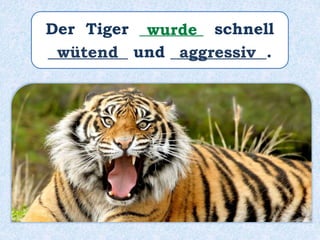Der Tiger ________ schnell
__________ und ____________.
wurde
wütend aggressiv
 