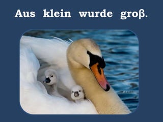 Aus klein wurde groβ.
 