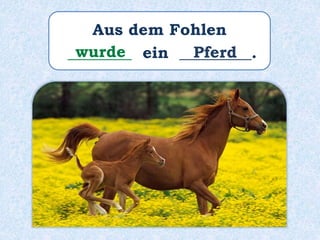 Aus dem Fohlen
________ ein _________.wurde Pferd
 