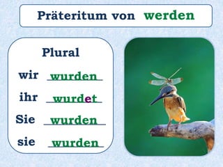 Plural
wir _________
ihr _________
Sie __________
sie _________
wurden
wurdet
wurden
wurden
Präteritum von werden
 