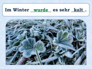 Im Winter _________ es sehr ______.wurde kalt
 