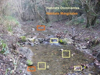 2 2 8 8 Habitats Dominantes Habitats Marginales 