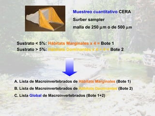 Sustrato > 5%:   Hábitats Dominantes x 4 + 4 =  Bote 2 Sustrato < 5%:  Hábitats Marginales x 4 =  Bote 1 A. Lista de Macroinvertebrados de  Hábitats Marginales  (Bote 1) B. Lista de Macroinvertebrados de   Hábitats Dominantes   (Bote 2) C. Lista  Global  de Macroinvertebrados (Bote 1+2) Muestreo cuantitativo  CERA Surber sampler  malla de 250   m o de 500   m   