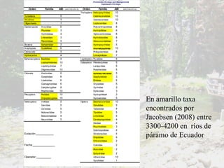 En amarillo taxa encontrados por Jacobsen (2008) entre 3300-4200 en  ríos de páramo de Ecuador 