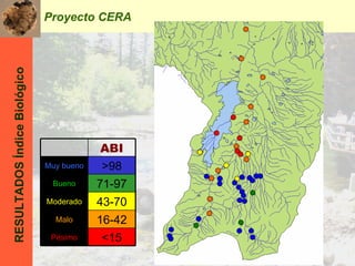 RESULTADOS Índice Biológico Proyecto CERA ABI Muy bueno >98 Bueno 71-97 Moderado 43-70 Malo 16-42 Pésimo <15 