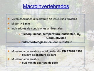 Macroinvertebrados Indicadores de condiciones ambientales: Viven asociados al substrato de los cursos fluviales fisicoquímicas: temperatura, nutrientes, O 2 ,  Conductividad hidromorfológicas: caudal, substrato Miden  > 1 mm Muestreo con salabre modelo estándar  EN 27828:1994 0,5 mm de abertura de poro Muestreo con salabre 0,25 mm de abertura de poro 