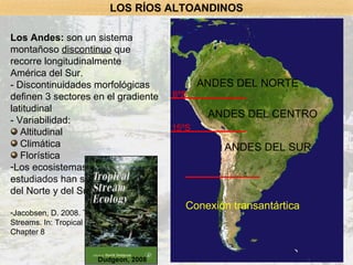 Los Andes:  son un sistema montañoso  discontinuo  que recorre longitudinalmente América del Sur. - Discontinuidades morfológicas definen 3 sectores en el gradiente latitudinal - Variabilidad: Altitudinal Climática Florística Los ecosistemas fluviales mas estudiados han sido los Andes del Norte y del Sur. Jacobsen, D. 2008. Tropical High-Altitude Streams. In: Tropical stream ecology. Chapter 8 LOS RÍOS ALTOANDINOS http://www.educima.com/es 6ºS 15ºS ANDES DEL NORTE ANDES DEL CENTRO ANDES DEL SUR Conexión transantártica Dudgeon, 2008 