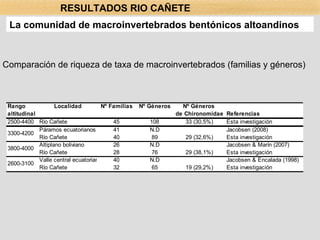 Comparación de riqueza de taxa de macroinvertebrados (familias y géneros) La comunidad de macroinvertebrados bentónicos altoandinos RESULTADOS RIO CAÑETE 