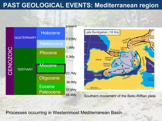 Southern movement of the Betic-Riffian plate TERTIARY QUATERNARY Holocene Pleistocene Pliocene Paleocene CENOZOIC Eocene Oligocene present Miocene 66.4My 57.8My 36.6My 23.7My 5.3My 1.6My 0.01My Processes occurring in Westernmost Mediterranean Basin… PAST GEOLOGICAL EVENTS: Mediterranean region  
