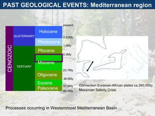 Connection Eurasian-African plates ca.260,000y Messinian Salinity Crisis TERTIARY QUATERNARY Holocene Pleistocene Pliocene Paleocene CENOZOIC Eocene Oligocene present Miocene 66.4My 57.8My 36.6My 23.7My 5.3My 1.6My 0.01My Processes occurring in Westernmost Mediterranean Basin… PAST GEOLOGICAL EVENTS: Mediterranean region  