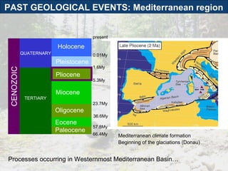 Mediterranean climate formation Beginning of the glaciations (Donau) TERTIARY QUATERNARY Holocene Pleistocene Pliocene Paleocene CENOZOIC Eocene Oligocene present Miocene 66.4My 57.8My 36.6My 23.7My 5.3My 1.6My 0.01My Processes occurring in Westernmost Mediterranean Basin… PAST GEOLOGICAL EVENTS: Mediterranean region  