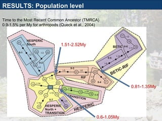 Time to the Most Recent Common Ancestor (TMRCA) 0.9-1.5% per My for arthropods (Queck et al., 2004) 0.81-1.35My 0.6-1.05My 1.51-2.52My RESULTS: Population level 