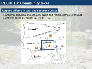 Regions differed in total and sampled surface Randomly selection of 3 sites per basin and region (complete basins) Number of basins per region: I:8, T:1, B:4, R:2 16 21 13 7 RESULTS: Community level 