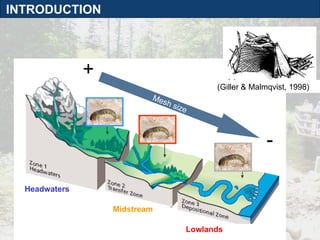 INTRODUCTION (Giller & Malmqvist, 1998) Mesh size + - Headwaters Midstream Lowlands 