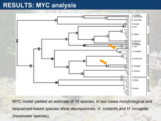 RESULTS: MYC analysis MYC model yielded an estimate of 19 species, in two cases morphological and sequenced-based species show discrepancies:  H. instabilis  and  H. incognita  (headwater species). 