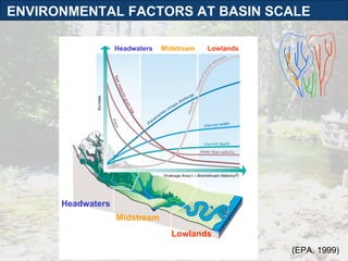 (EPA, 1999) ENVIRONMENTAL FACTORS AT BASIN SCALE Headwaters Midstream Lowlands Headwaters Midstream Lowlands 