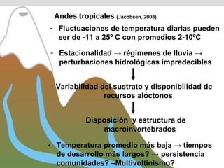 Fluctuaciones de temperatura diarias pueden ser de -11 a 25º C con promedios 2-10ºC Estacionalidad -> régimenes de lluvia -> perturbaciones hidrológicas impredecibles Temperatura promedio más baja -> tiempos de desarrollo más largos? -> persistencia comunidades? –Multivoltinismo? Variabilidad del sustrato y disponibilidad de recursos alóctonos Disposición  y estructura de macroinvertebrados Andes tropicales  (Jacobsen, 2008) Dudgeon, 2008 