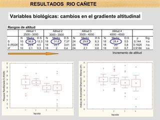 Variables biológicas: cambios en el gradiente altitudinal Incremento de altitud RESULTADOS  RIO CAÑETE 