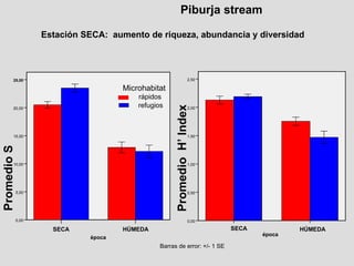 Piburja stream Estación SECA:  aumento de riqueza, abundancia y diversidad Promedio S HÚMEDA SECA época 25,00 20,00 15,00 10,00 5,00 0,00 Barras de error: +/- 1 SE refugios rápidos Microhabitat HÚMEDA SECA época 2,50 2,00 1,50 1,00 0,50 0,00 Promedio  H’ Index 