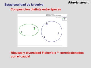Estacionalidad de la deriva Riqueza y diversidad Fisher’s  α  ** correlacionados con el caudal Composición distinta entre épocas Piburja stream  